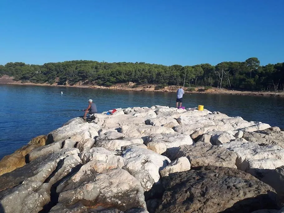 Lägenhet T2 Paisible, Wifi, Proche Plage Et Pinede Saint-Mandrier-sur-Mer