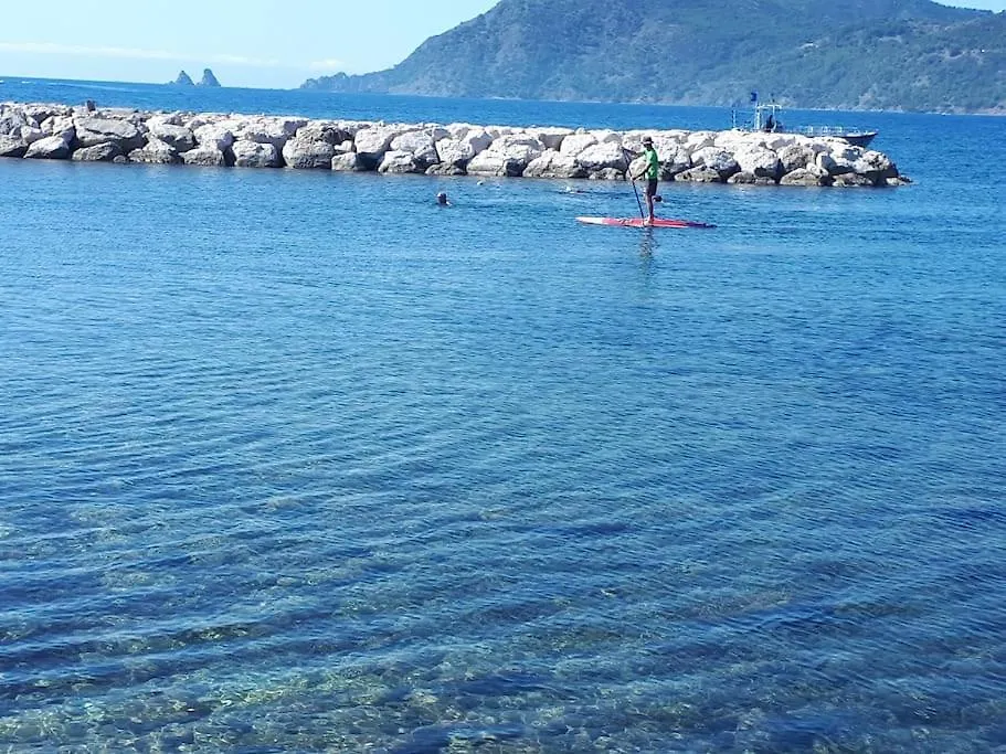 T2 Paisible, Wifi, Proche Plage Et Pinede Saint-Mandrier-sur-Mer 0*,  France